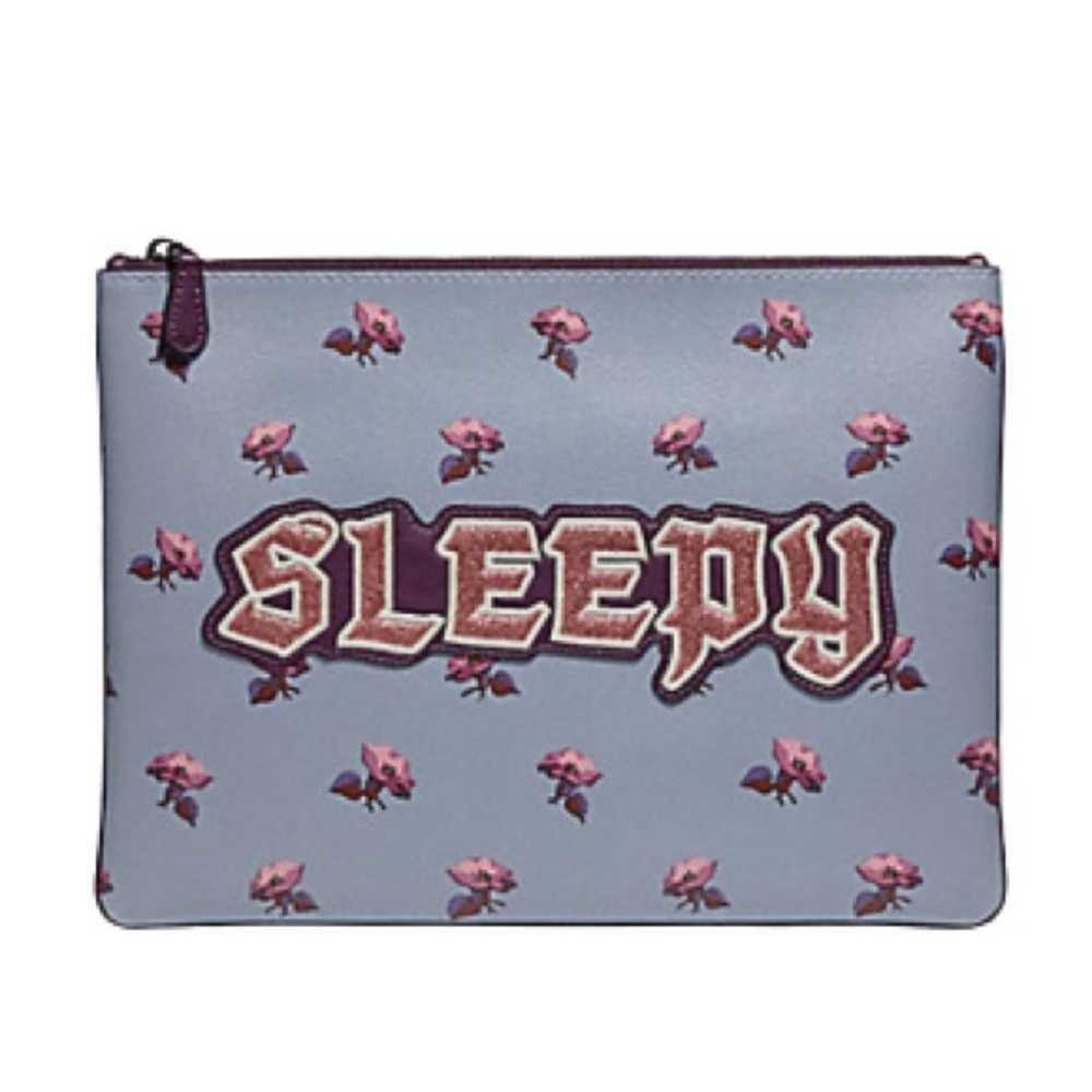 NWOT/ Coach ~ DISNEY X LARGE POUCH CLUTCH 30 “SLEEPY”